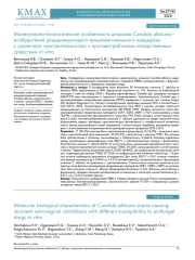 Молекулярно-биологические особенности штаммов Candida albicans – возбудителей рецидивирующего вульвовагинального кандидоза с различной чувствительностью к противогрибковым лекарственным средствам in vitro