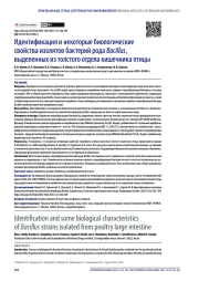 Идентификация и некоторые биологические свойства изолятов бактерий рода Bacillus, выделенных из толстого отдела кишечника птицы