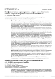 Морфологическая характеристика острого миелобластного лейкоза у взрослых с реаранжировками гена KMT2A