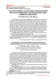 ПАЛЕОГЕНОВЫЕ СТОЛБЧАТЫЕ СТРОМАТОЛИТЫ МЕСТОНАХОЖДЕНИЯ "КАМЫШИНСКИЕ УШИ" (НИЖНЕЕ ПОВОЛЖЬЕ)
