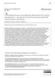 Экспериментальное моделирование врожденного буллезного эпидермолиза — инструмент изучения патогенеза и мишеней генной терапии заболевания
