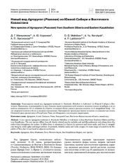 Новый вид Agropyron (Poaceae) из Южной Сибири и Восточного Казахстана