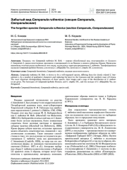 Забытый вид Campanula ruthenica (секция Campanula, Campanulaceae)