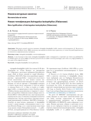 Новая типификация Astragalus lasiophyllus (Fabaceae)