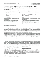 Семь новых видов одуванчиков (Taraxacum, Asteraceae) для флоры северозапада европейской части России (Taraxacum Notulae Rossiae Boreali Europeae IV)