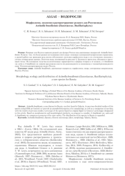 МОРФОЛОГИЯ, ЭКОЛОГИЯ И РАСПРОСТРАНЕНИЕ РЕДКОГО ДЛЯ РОССИИ ВИДА ACTINELLA BRASILIENSIS ( EUNOTIACEAE, BACILLARIOPHYTA )