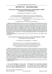 Самая северная континентальная находка и отличия Metacalypogeia cordifolia (Calypogeiaceae, Marchantiophyta)