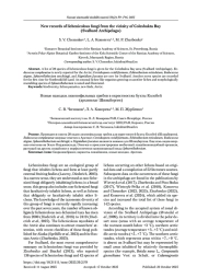 Новые находки лихенофильных грибов в окрестностях бухты Колсбей (архипелаг Шпицберген)