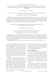 Новые данные об агарикоидных и болетоидных грибах (Basidiomycota) Свердловской области (Россия)