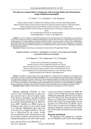 Первые данные о хемотипе с оранжевым талломом и лихенофильной морфе лишайника Blastenia ammiospila