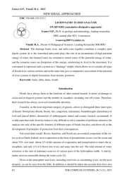 GEODYNAMIC FLOOD ANALYSIS ON RIVERS (cumulative-dissipative approach)
