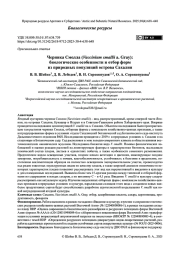 Черника Смолла (Vaccinium smallii a. Gray): биологические особенности и отбор форм из природных популяций острова Сахалин