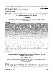 Морфобиологические особенности смородинно-крыжовникового гибрида в условиях Северо-Востока России