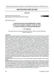 Стратегии жизни плотнодерновинных злаков Festuca lenensis Drob. и Koeleria cristata (L.) Pers. в степных сообществах Центральной Якутии