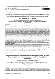 Ископаемые остатки мезофауны четвертичного периода Янского плато как индикаторы палеоландшафтных условий позднего плейстоцена