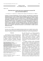 Динамика роста наноструктур на поверхности пленок SnS при плазменной обработке
