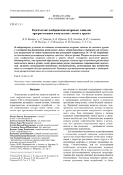 Оптические изображения искровых каналов при растекании импульсных токов в грунте