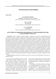 Инструменты поддержки молодежного предпринимательства в Республике Татарстан