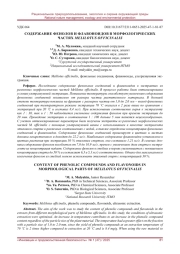 СОДЕРЖАНИЕ ФЕНОЛОВ И ФЛАВОНОИДОВ В МОРФОЛОГИЧЕСКИХ ЧАСТЯХ MELILOTUS OFFICINALIS