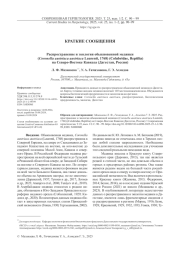 РАСПРОСТРАНЕНИЕ И ЭКОЛОГИЯ ОБЫКНОВЕННОЙ МЕДЯНКИ (CORONELLA AUSTRIACA AUSTRIACA LAURENTI, 1768) (COLUBRIDAE, REPTILIA) НА СЕВЕРО-ВОСТОКЕ КАВКАЗА (ДАГЕСТАН, РОССИЯ)