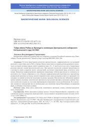 TULIPA ALTAICA PALLAS EX SPRENGEL В КОЛЛЕКЦИИ ЦЕНТРАЛЬНОГО СИБИРСКОГО БОТАНИЧЕСКОГО САДА СО РАН