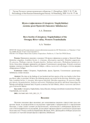 Жуки-стафилиниды (Coleoptera: Staphylinidae) долины реки Оронгой (Западное Забайкалье)