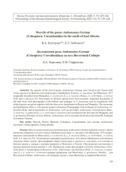 Долгоносики рода Anthonomus Germar (Coleoptera: Curculionidae) на юге Восточной Сибири