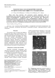 Аналогии между экзоэлектронной фотоэмиссией и вторично-ионным фотоэффектом в полупроводниках