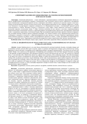 АТИПИЧНЫЙ РАБДОМИОЛИЗ ОДНОКОПЫТНЫХ: ПАТОМОРФОЛОГИЯ ИЗМЕНЕНИЙ В ОРГАНАХ И ТКАНЯХ