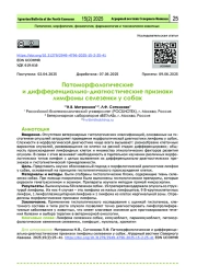 Патоморфологические и дифференциально-диагностические признаки лимфомы селезенки у собак