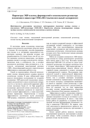 Параметры ЭЦР-плазмы, формируемой в коаксиальном резонаторе плазменного инжектора CERA-RI-2 (вычислительный эксперимент)