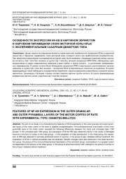 ОСОБЕННОСТИ ЭКСПРЕССИИ NF-KB В НАРУЖНОМ ЗЕРНИСТОМ И НАРУЖНОМ ПИРАМИДНОМ СЛОЯХ МОТОРНОЙ КОРЫ КРЫС С ЭКСПЕРИМЕНТАЛЬНЫМ САХАРНЫМ ДИАБЕТОМ I ТИПA