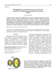 Периферийные кулоновские силы, классические и квантовые мембраны, фокусирующие плазмоиды (обзор)