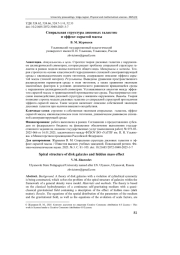 СПИРАЛЬНАЯ СТРУКТУРА ДИСКОВЫХ ГАЛАКТИК И ЭФФЕКТ СКРЫТОЙ МАССЫ