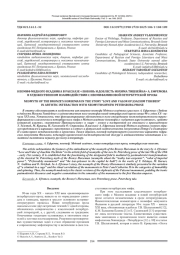 НЕОМИФ МЕДНОГО ВСАДНИКА В РАССКАЗЕ "ЛЮБОВЬ И ДОБЛЕСТЬ ИОХИМА ТИШБЕИНА" А. ЕФРЕМОВА В ХУДОЖЕСТВЕННОМ ВЗАИМОДЕЙСТВИИ С НЕОМИФАМИНОВОЙ ПЕТЕРБУРГСКОЙ ПРОЗЫ
