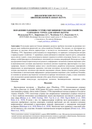 ПОРАЖЕНИЕ РАКОВИНЫ УСТРИЦ СВЕРЛЯЩИМИ ГУБКАМИ СЕМЕЙСТВА CLIONAIDAE: УГРОЗА ДЛЯ АКВАКУЛЬТУРЫ *