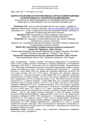 ОЦЕНКА ОТЗЫВЧИВОСТИ ПЕРСПЕКТИВНЫХ СОРТОВ ОЗИМОЙ ПШЕНИЦЫ НА ИНТЕНСИВНОСТЬ ТЕХНОЛОГИИ ВОЗДЕЛЫВАНИЯ