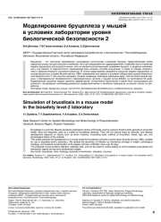 Моделирование бруцеллеза у мышей в условиях лаборатории уровня биологической безопасности 2