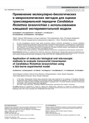Применение молекулярно-биологических и микроскопических методов для оценки трансовариальной передачи Candidatus Rickettsia tarasevichiae с использованием клещевой экспериментальной модели
