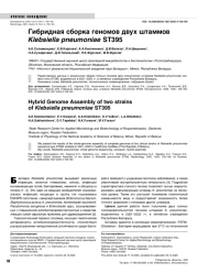 Гибридная сборка геномов двух штаммов Klebsiella pneumoniae ST395