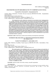 НЕКОММЕРЧЕСКАЯ ОРГАНИЗАЦИЯ КАК РЕСУРС РАЗВИТИЯ МАЛОГО ГОРОДА