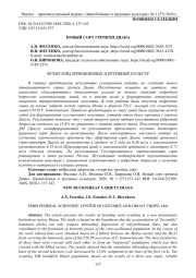 НОВЫЙ СОРТ ГРЕЧИХИ ДИАНА