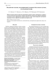 ВОЗДЕЙСТВИЕ ПЛАЗМЫ, ИНДУЦИРОВАННОЙ ЛАЗЕРНЫМ БЕССЕЛЕВЫМ ПУЧКОМ, НА ВОЗДУШНЫЙ ВИХРЬ