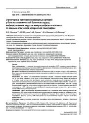 Структурные изменения коронарных артерий у больных ишемической болезнью сердца, инфицированных вирусом иммунодефицита человека, по данным оптической когерентной томографии