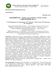 СНЕЖНЫЙ БАРС - PANTHERAUNCIA SCHREBER, 1776 НА АЛТАЕ: СОВРЕМЕННЫЙ АРЕАЛ