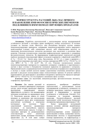 МОРФОСТРУКТУРА РАСТЕНИЙ ЛЬНА МАСЛИЧНОГО И НАКОПЛЕНИЕ ИМИ ФОТОСИНТЕТИЧЕСКИХ ПИГМЕНТОВ ПОД ВЛИЯНИЕМ ИММУНОМОДУЛИРУЮЩИХ ПРЕПАРАТОВ