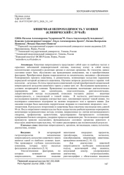 КИШЕЧНАЯ НЕПРОХОДИМОСТЬ У КОШКИ (КЛИНИЧЕСКИЙ СЛУЧАЙ)