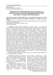 КЛИНИЧЕСКИЕ ПРОЯВЛЕНИЯ И ЦИТОЛОГИЧЕСКАЯ ДИАГНОСТИКА ТРАНСМИССИВНОЙ ВЕНЕРИЧЕСКОЙ ОПУХОЛИ У СОБАК В ПЕРМСКОМ КРАЕ