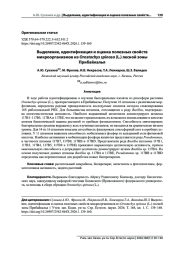 ВЫДЕЛЕНИЕ, ИДЕНТИФИКАЦИЯ И ОЦЕНКА ПОЛЕЗНЫХ СВОЙСТВ МИКРООРГАНИЗМОВ ИЗ OROSTACHYS SPINOSA (L.) ЛЕСНОЙ ЗОНЫ ПРИБАЙКАЛЬЯ