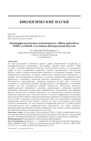 БИОМОРФОЛОГИЧЕСКАЯ ИЗМЕНЧИВОСТЬ ALLIUM SPLENDENS WILLD. EX SCHULT. В УСЛОВИЯХ ЦЕНТРАЛЬНОЙ ЯКУТИИ